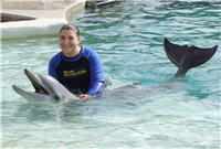 Mit Delphinen im Sequarium schwimmen.